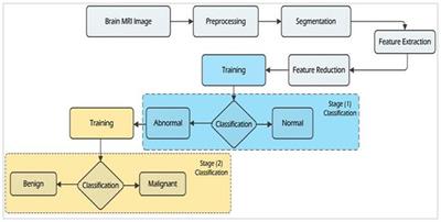 Least square-support vector machine based brain tumor classification system with multi model texture features